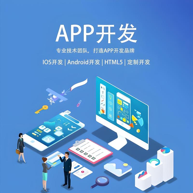 上海软件定制开发：精准助力企业数字化转型